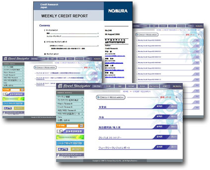 Credit Rating E